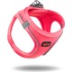 Neon Pembe