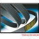 Seçili Renk Ford