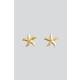  Renk Gold