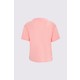  Renk Pembe