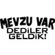 Seçili Renk Çok Renkli