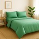 Mint Yeşili