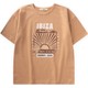  Renk Camel