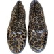  Renk Leopar