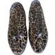  Renk Leopar