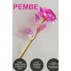  Renk Pembe