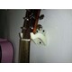 Seçili Renk 3 Renk Sunburst