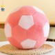  Renk Pembe