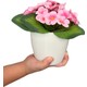  Renk Pembe