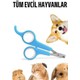 Seçili Renk Renkli