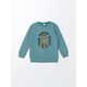  Renk DULL GREEN