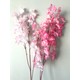 Seçili Renk Pembe - Beyaz