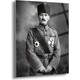 Seçili Renk Renkli