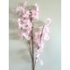  Renk Pembe - Beyaz
