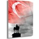 Seçili Renk Renkli