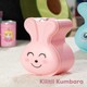  Renk Pembe