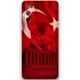 Seçili Renk NO2
