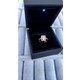  Renk Rose Gold