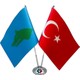 Seçili Renk Renkli