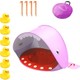  Renk Pembe