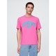  Renk Pembe