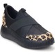  Renk Leopar