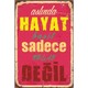 Seçili Renk Karışık