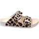  Renk Leopar