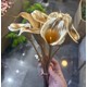  Renk Gold