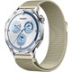 Renk Retro Gold