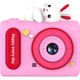  Renk Pembe