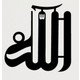 Seçili Renk Siyah