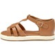  Renk Camel