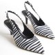  Renk Zebra
