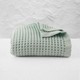 Mint Yeşili