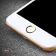  Renk Rose Gold