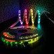 Seçili Renk RGB