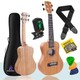 Seçili Renk 3 Renk Sunburst