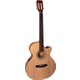 Seçili Renk 3 Renk Sunburst