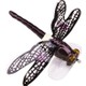  Renk Purple