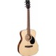 Seçili Renk 3 Renk Sunburst