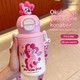  Renk Pembe