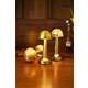  Renk Gold