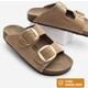  Renk Camel