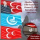Seçili Renk Renkli