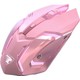  Renk Pembe