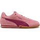  Renk Pembe