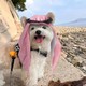 Seçili Renk Kırmızı
