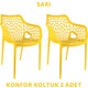  Renk Sarı