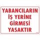 Seçili Renk Şeffaf